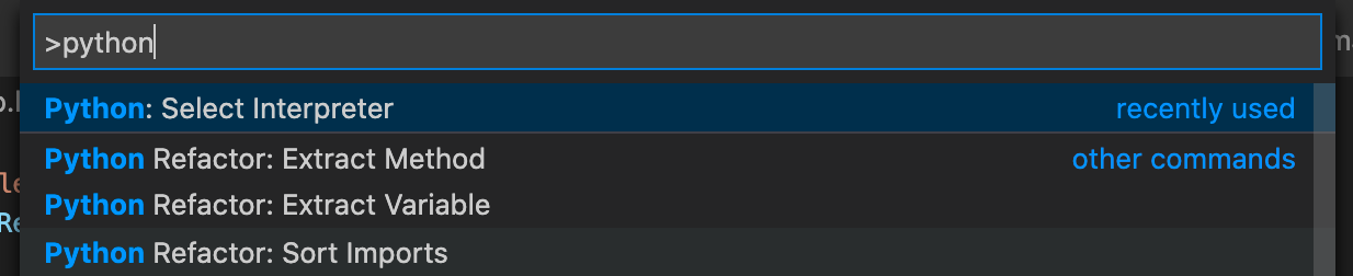 A screenshot showing how to select the Python Interpreter in the VSCode interface